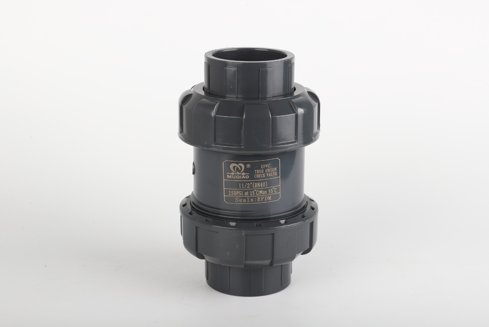 潜山双由令止回阀