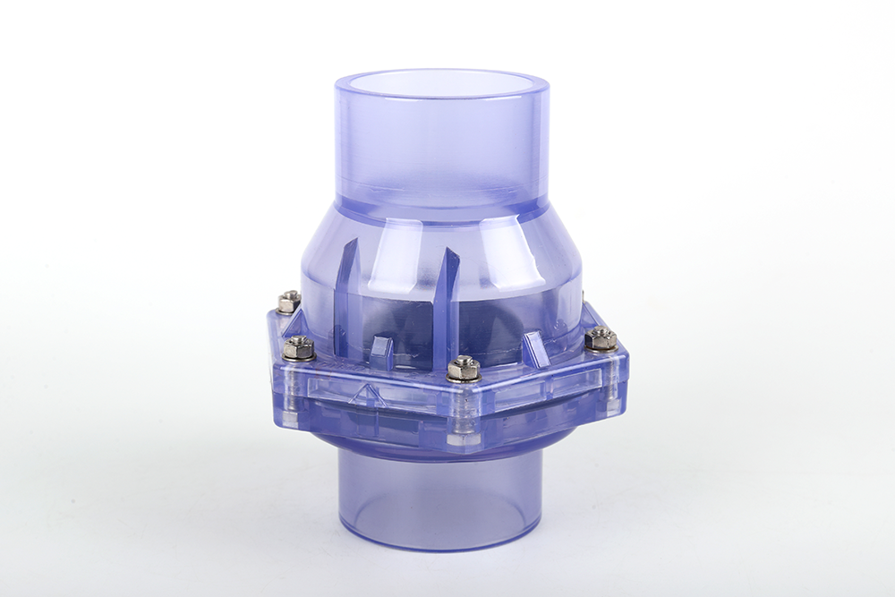 潜山透明翻板式止回阀